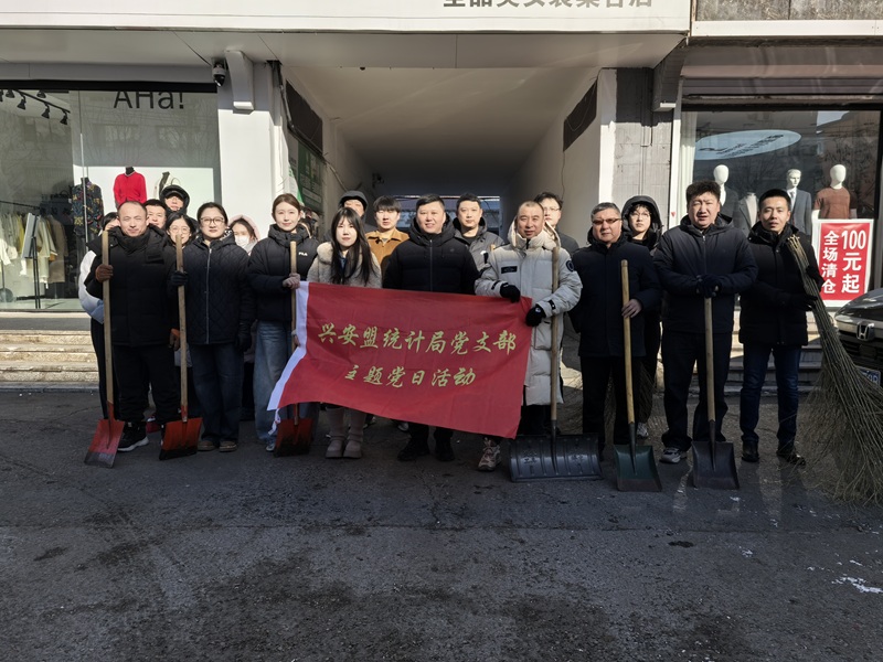 兴安盟统计局开展“学雷锋·进社区”主题党日活动：清雪除冰暖民心